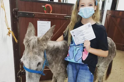 Uma estudante de 10 anos de Caxias do Sul mobilizou a turma de escola para arrecadar dinheiro e pagar as vacinas feitas nos cavalos que foram resgatados no abatedouro clandestino descoberto em Forqueta. Nicole Bevilaqua Viera estuda no 4º ano, na turma 42, da escola Caminhos do Saber, e organizou uma rifa entre os colegas na última semana. Ela arrecadou R$ 97 e doou para quitar a dívida na clínica veterinária da Universidade de Caxias do Sul, onde os animais permanecem abrigados. Dos seis, apenas a égua Vitória já tem um novo lar. Ela foi adotada por um casal de veterinários. Celeste, Star, Príncipe e Raio de Sol vão para a casa dos adotantes nesta sexta-feira (17). Os cinco tiveram as vacinas pagas pelo valor arrecadado pela rifa. A jumentinha Pantufa foi adotada pela UCS. Os animais estão sob a responsabilidade da (PAC) que solicitou a guarda ao Ministério Público (MP) até que eles sejam doados. A ONG em conjunto com a Sociedade Amiga dos Animais (Soama) é quem articula as adoções. <!-- NICAID(14969793) -->