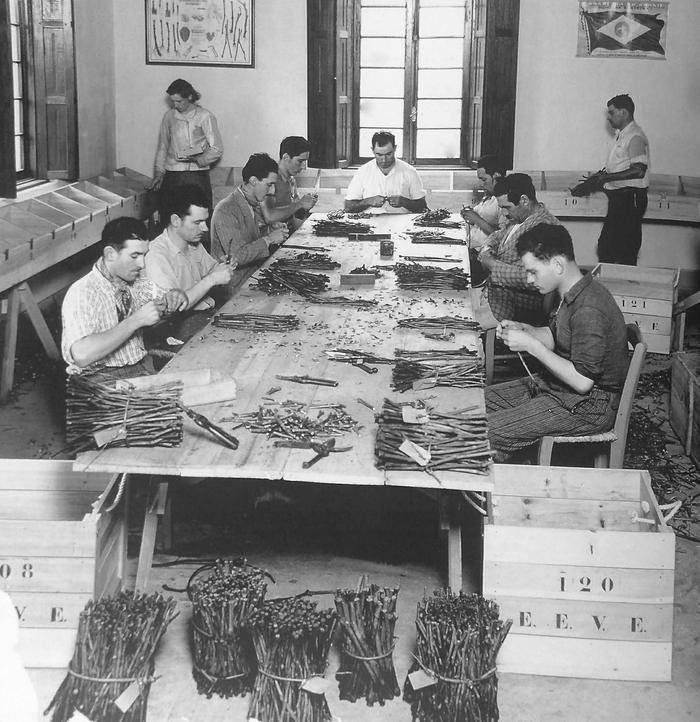 Arquivo Histórico Municipal João Spadari Adami / Divulgação Arquivo Histórico Municipal João Spadari Adami / Divulgação