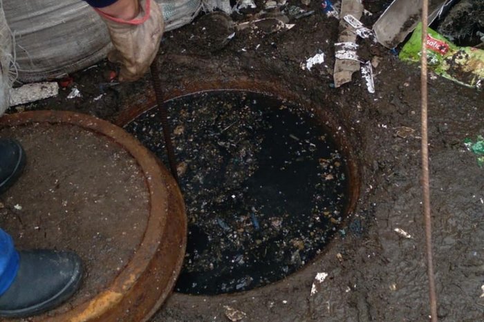 Ambiental Metrosul / Divulgação Ambiental Metrosul / Divulgação