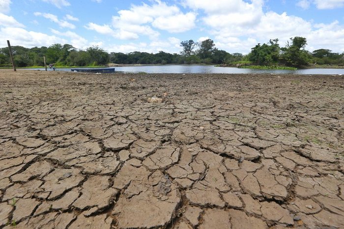 Lauro Alves / Agencia RBS