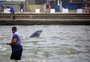Como é o projeto que valoriza pesca com botos entre Tramandaí e Imbé e vai receber investimento
