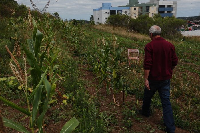 Antonio Valiente / Agencia RBS