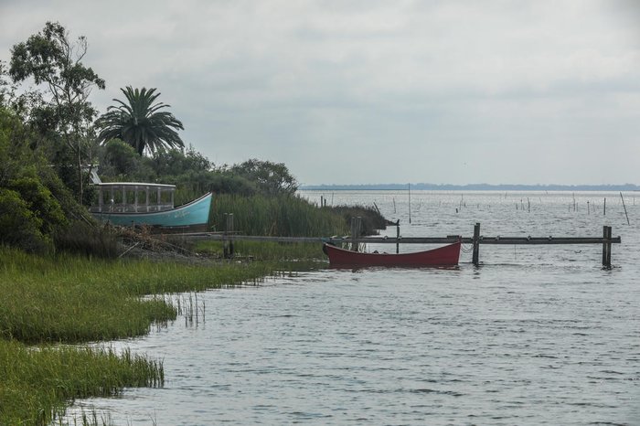Estuário da Lagoa dos Patos tem água salgada