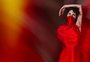 "Útero": uma experiência visual da trajetória feminina