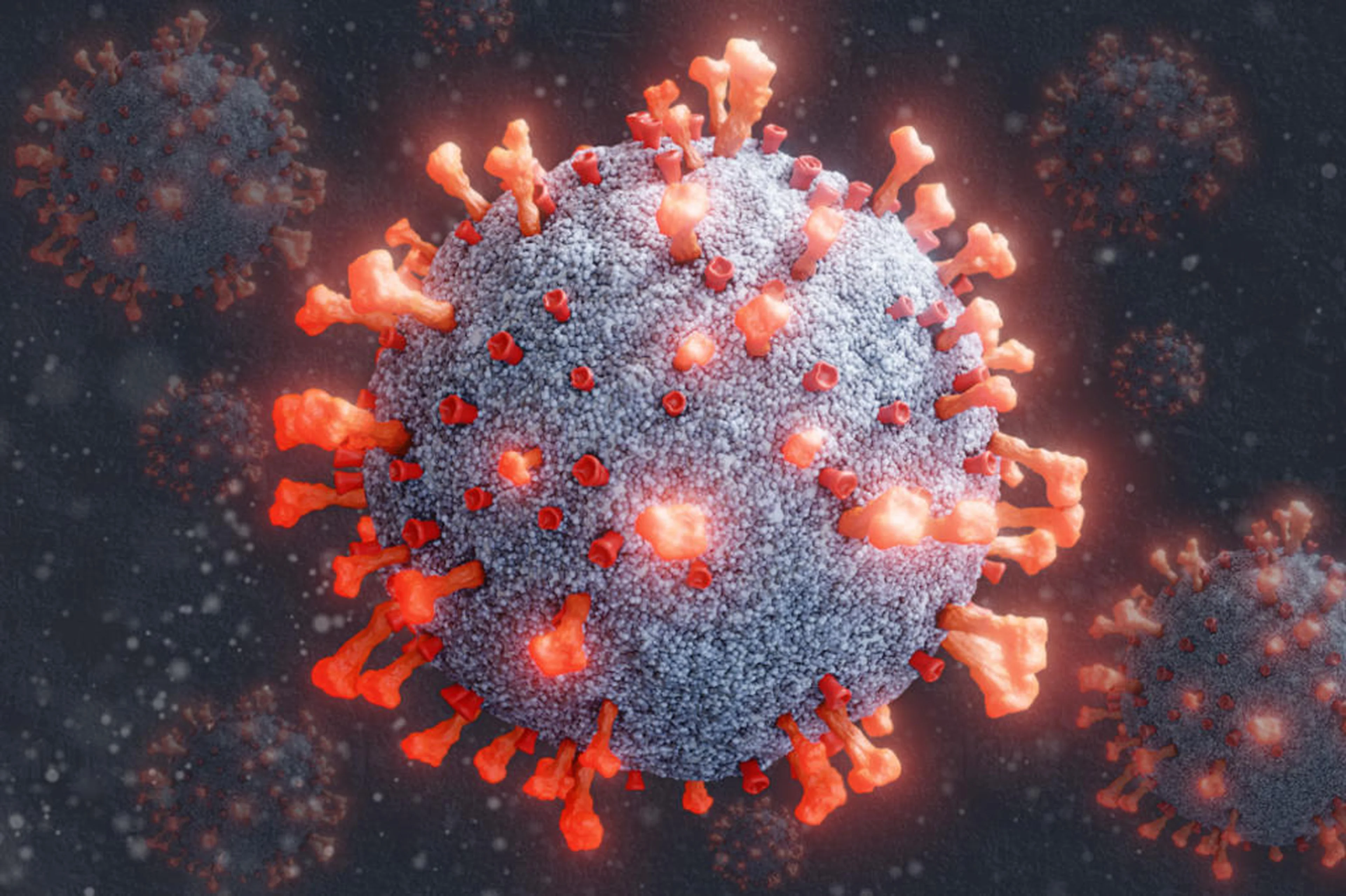 Jonatan Sarmento/Arte GZH