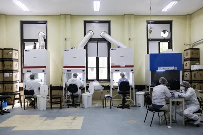 PORTO ALEGRE, RS, BRASIL, 26-01-2022:  Laboratorios em funcionamento no Instituto de Ciencias Basicas da Saude da UFRGS realizam testes PCR. (Foto: Mateus Bruxel / Agencia RBS)Indexador: Mateus Bruxel<!-- NICAID(14999276) -->