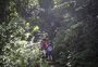 Aventura em família: trilhas no Litoral Norte proporcionam contato com a natureza e estimulam a autonomia dos pequenos