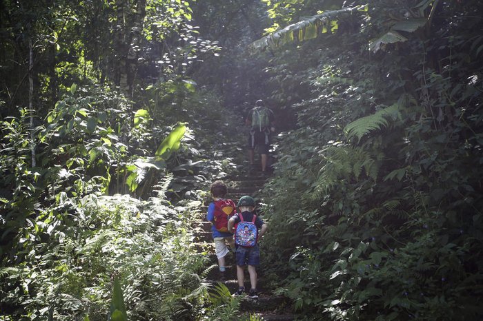 SciELO - Brasil - Crianças em trilhas na natureza: jogos de percurso e  reencantamento Crianças em trilhas na natureza: jogos de percurso e  reencantamento