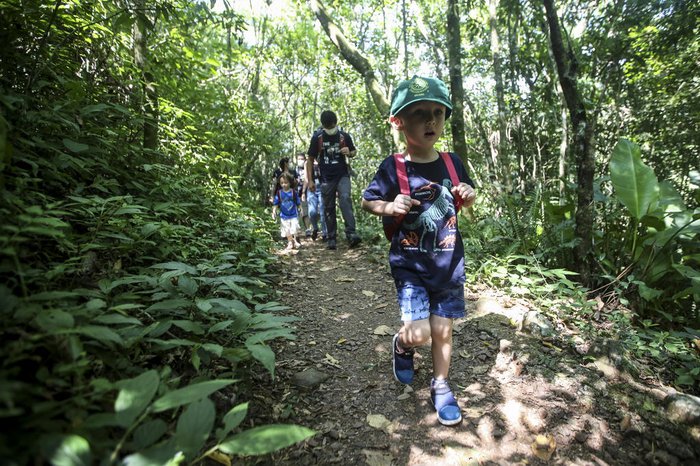 SciELO - Brasil - Crianças em trilhas na natureza: jogos de percurso e  reencantamento Crianças em trilhas na natureza: jogos de percurso e  reencantamento