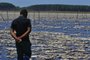 MOSTARDAS, RS - Seca castiga o Parque nacional da Lagoa do Peixe em Mostardas e Tavares.<!-- NICAID(15006455) -->
