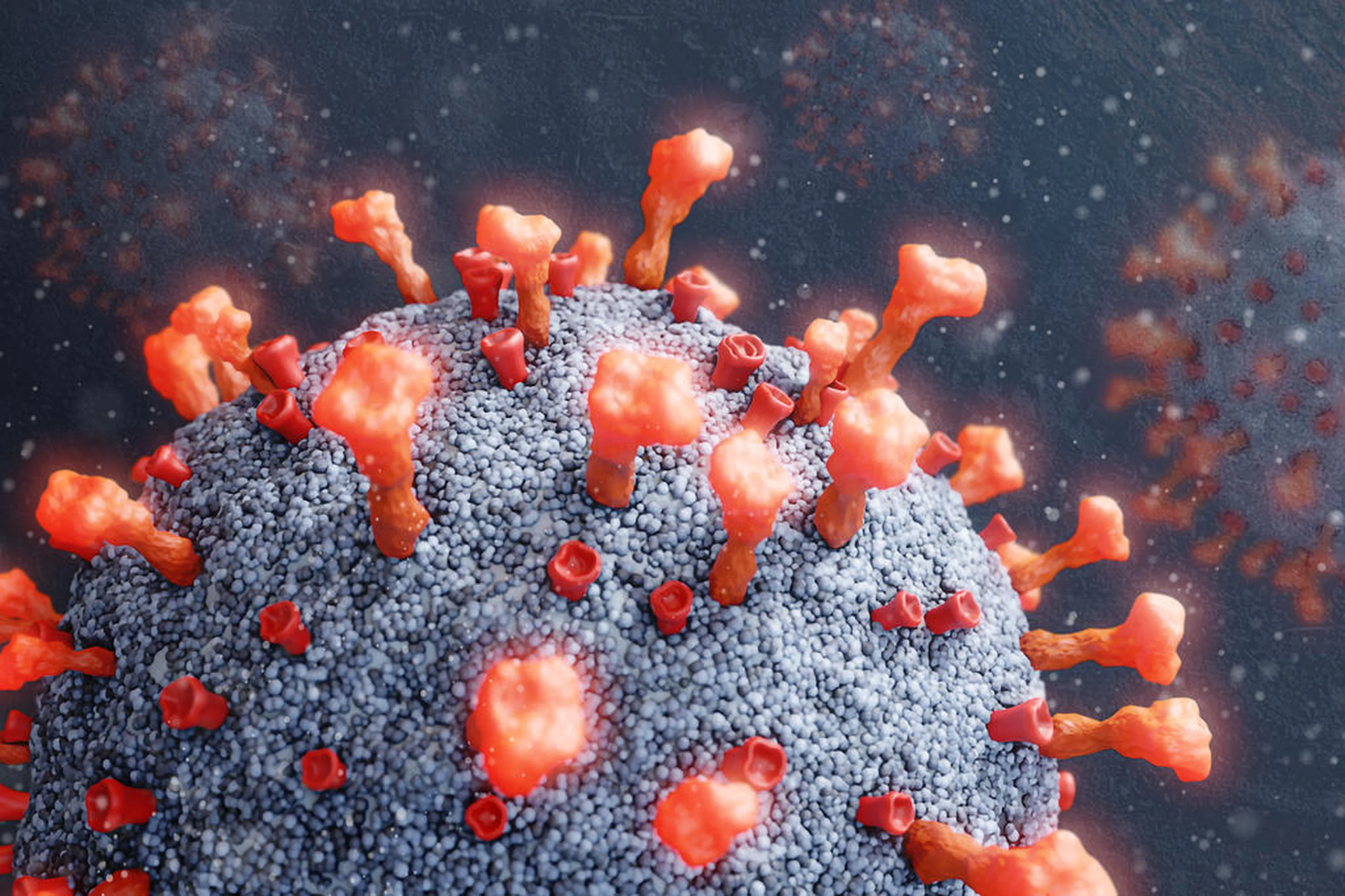 Jonatan Sarmento/Agencia RBS