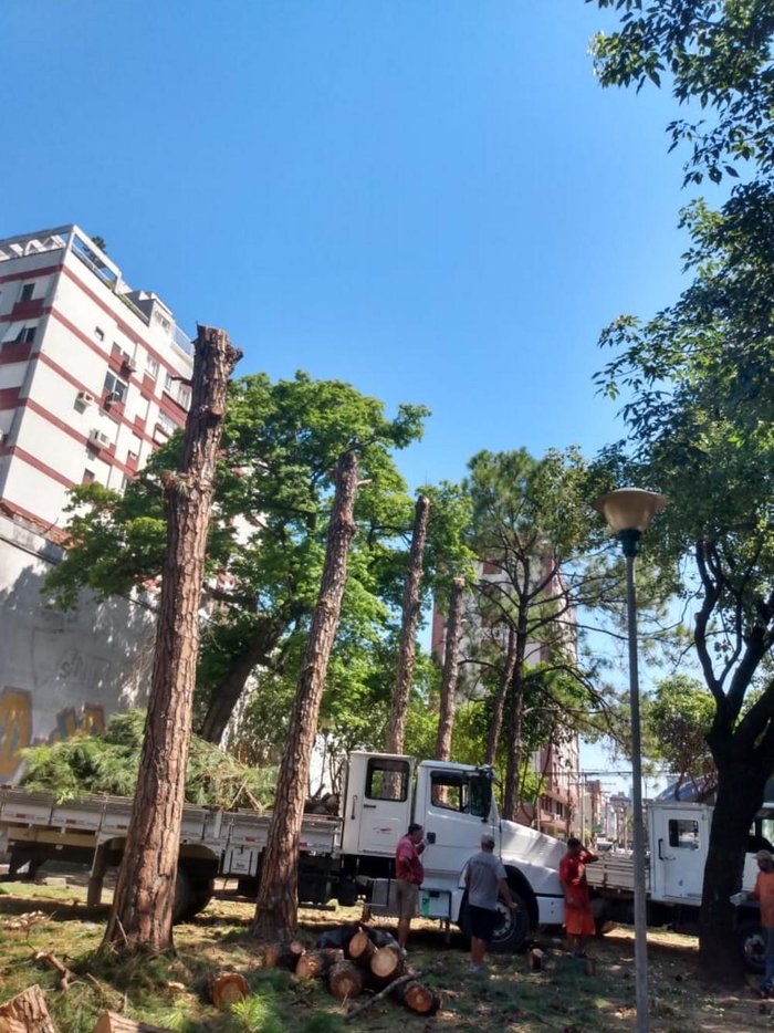 Moradores reclamam que a praça ficou descampada e que não terão mais sombra