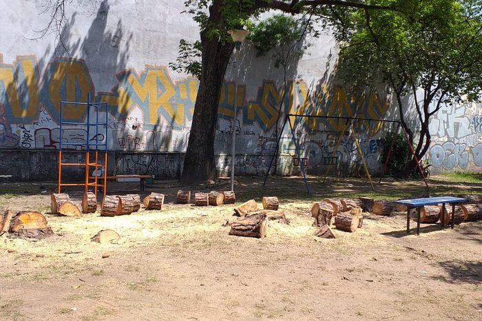 Segundo a prefeitura, pinheiros ofereciam risco às crianças, visto que galhos tinham risco de queda