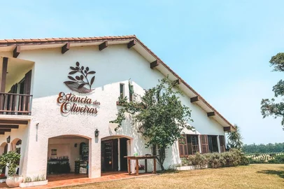 Quinta da Estância; Viamão; Azeite de Oliva; Oliveira; Colheita<!-- NICAID(15021076) -->