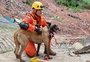 Com 18 cães, serviço de busca e resgate do Corpo de Bombeiros Militar do RS completa 19 anos