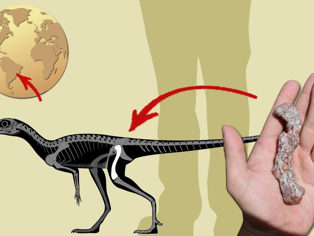 Fósseis de primeiro dinossauro gigante são descobertos