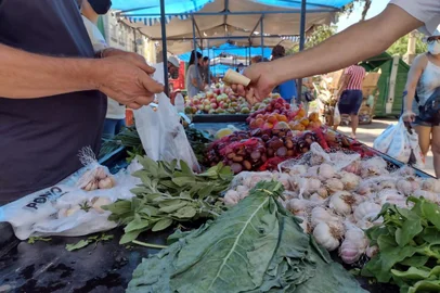 Ponto de Safra, na Praça Dante Alighieri passa a vender as sacolas de produtos a R$3,00 e não mais a R$2,00<!-- NICAID(15033098) -->
