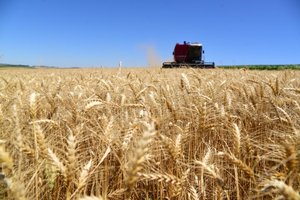 Diogo Zanatta / Especial