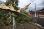 ESTEIO, RS, BRASIL - 2022.03.07 - Rua Aldo Locateli, em Esteio, após temporal que derrubou árvores e arrancou telhas de casas. Foto: André Ávila/ Agência RBS)<!-- NICAID(15035416) -->
