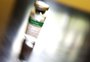 Pesquisa de vacina contra a dengue no Hospital São Lucas da PUCRS deve entrar em nova fase ainda neste ano