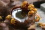 Abelhas uruçu se alimentando de mel no Paraná<!-- NICAID(12109989) -->