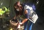 Rio Grande do Sul confirma 13ª morte por dengue em 2022