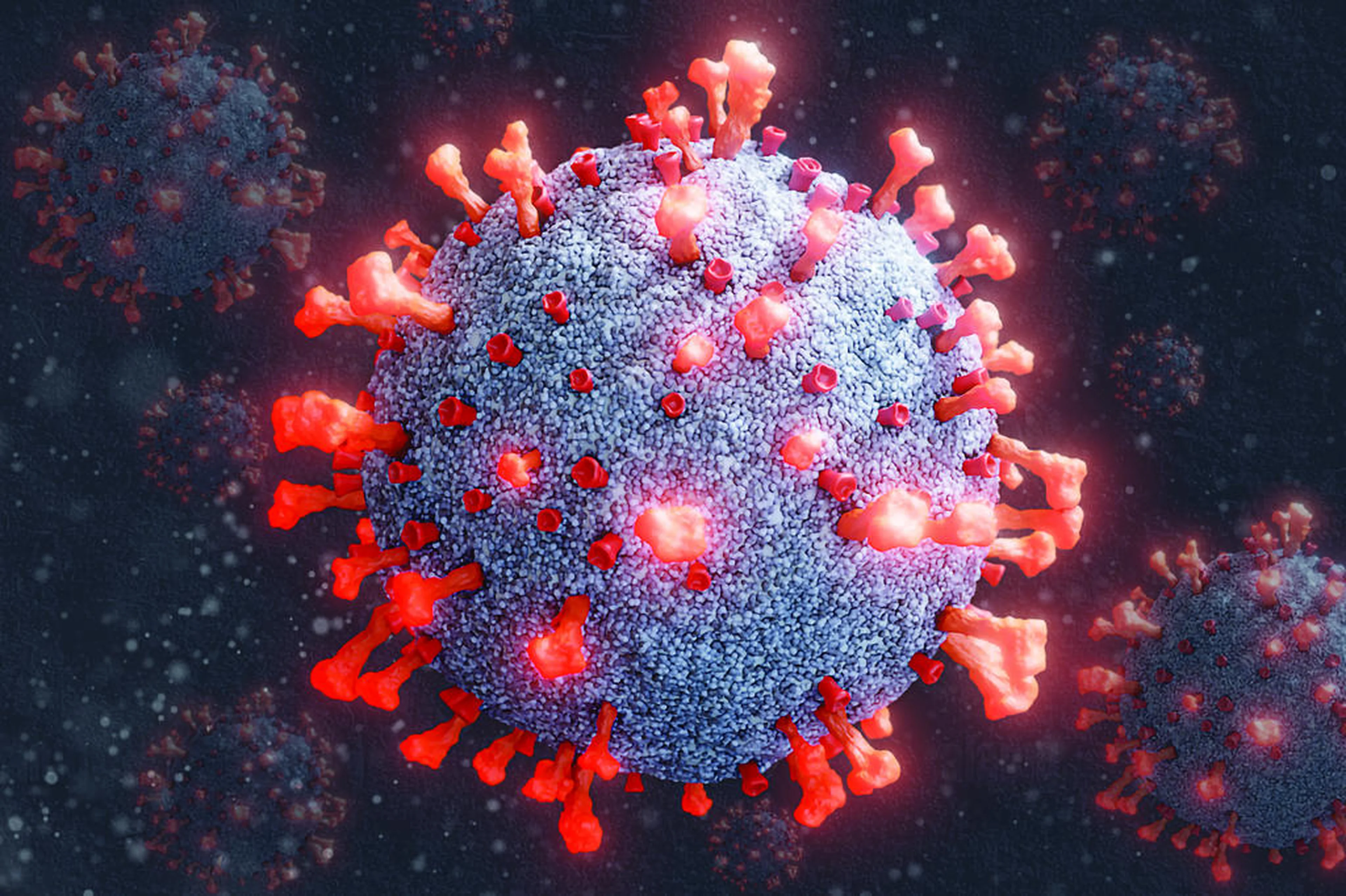 Jonatan Sarmento/Arte GZH