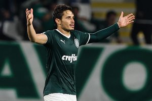 Fabio Menotti / Palmeiras / Divulgação
