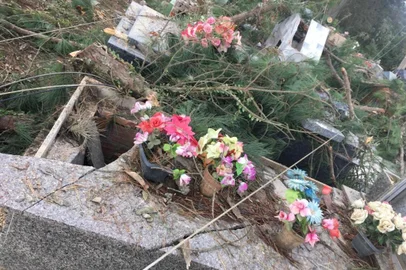 Túmulos de cemitério em Cerro Grande do Sul são danificados após prefeitura cortar árvores<!-- NICAID(15068670) -->