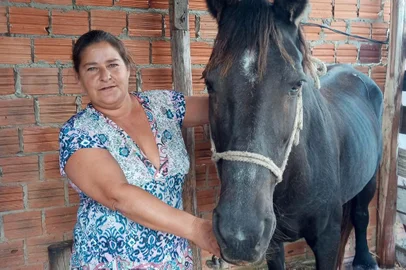 Égua ferida há dois anos no litoral precisa de ajuda para receber tratamento em Caxias. Uma campanha virtual busca recursos para o tratamento de uma égua que convive há dois anos com um ferimento no membro toráxico esquerdo. Preta vive em Cidreira e precisa ser transportada do litoral para Caxias do Sul. No município ela receberá tratamento gratuito na Clínica de Grandes Animais da Universidade de Caxias do Sul (UCS). Contudo, é preciso arrecadar o valor do frete que gira em torno de R$ 1,5 mil a 2 mil. A proprietária da égua, Janice Ienziorsky, 49 anos, está desempregada e não tem como arcar com os custos. Preta já passou por diversos atendimentos veterinários nesses dois anos, mas o ferimento continua, sem que tenha um diagnóstico definitivo. <!-- NICAID(15077122) -->