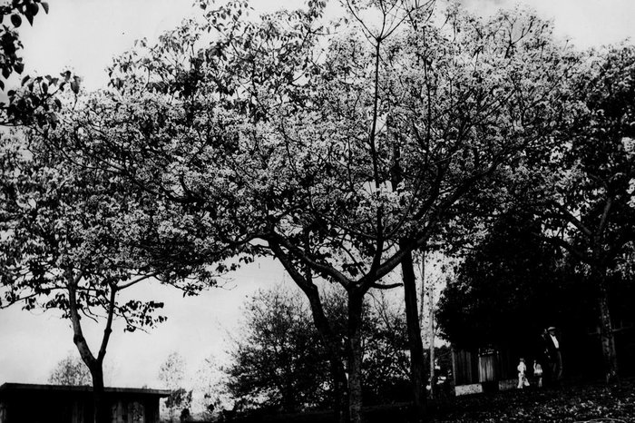 Studio Geremia / Acervo de Ricardo Zugno,divulgação Studio Geremia / Acervo de Ricardo Zugno,divulgação