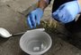 Queixas sobre focos de mosquitos na Capital crescem quase 450% em 2022