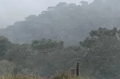 São José dos Ausentes é a primeira a ter neve em 2022 no Estado<!-- NICAID(15098194) -->