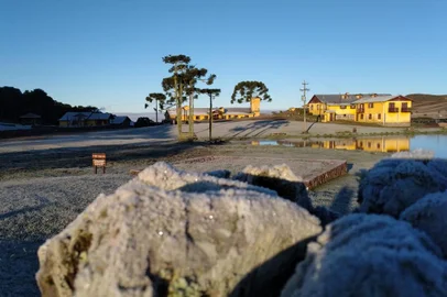 Geada cobre de branco paisagens em José dos Ausentes no dia mais frio do ano na Serra . Os terrmômetros marcaram 1,3ºC nessa sexta-feira (20), sendo que na terça-feira (17) quando nevou na cidade temperatura era de 2ºC<!-- NICAID(15101387) -->