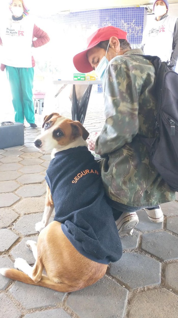 Médicos-veterinários oferecem gratuitamente medicamentos, consultas clínicas, vacinação, tratamento de pele e oftalmológico, além de outras especialidades