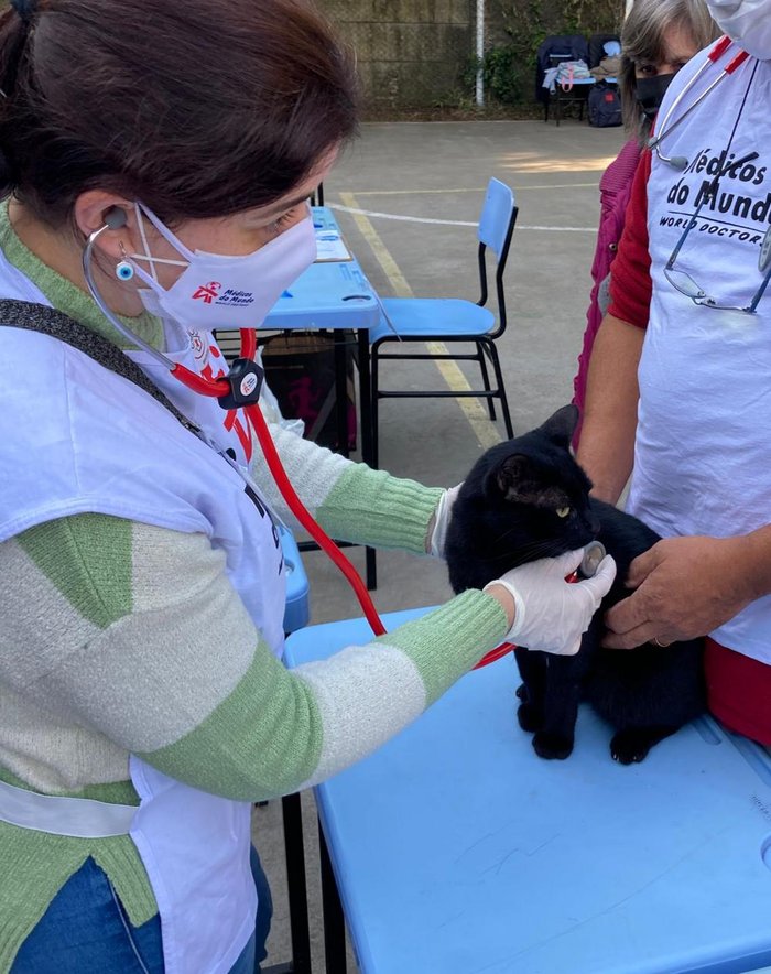 Cães são maioria, mas gatos também são atendidos