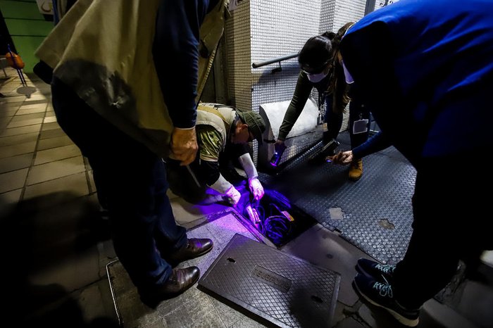 Profissionais utilizaram luz UV para localizar os animais