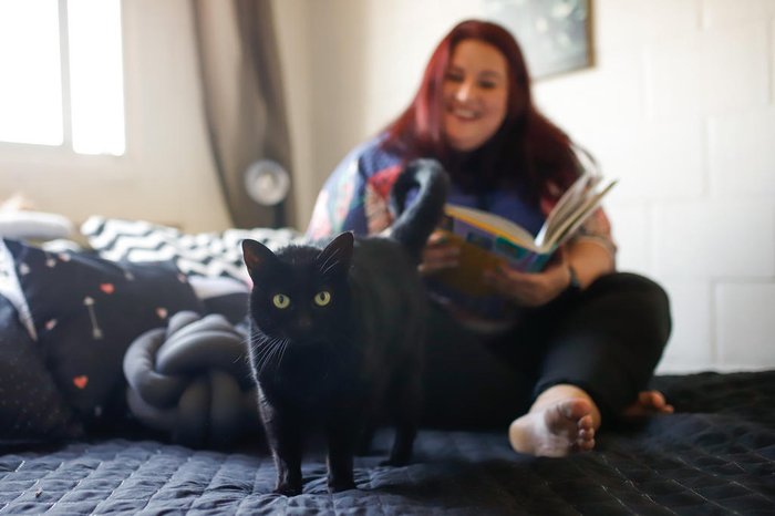 Penny, a gata, aparece entre as publicações