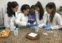 Estudantes de Santa Maria criam o Bergacida, inseticida à base de bergamota que auxilia no combate à dengue