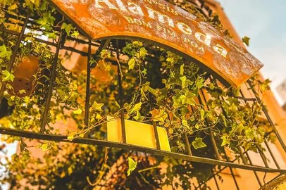 alameda 518 , di argento , balcone pizzaria , west village , café alameda , fnger food , nachos , torta, destemperados<!-- NICAID(15119574) -->
