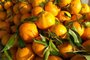Feira Ecológica celebra colheita de citros neste sábado em Caxias do Sul<!-- NICAID(15120365) -->