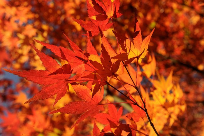 Marcelo Casagrande / Agencia RBS Marcelo Casagrande / Agencia RBS