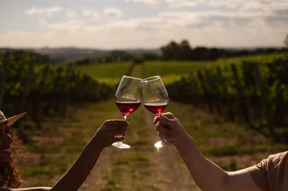 wine walk , vinícola aurora, enoturismo, destemperados, vinho<!-- NICAID(14961640) -->