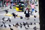 CAXIAS DO SUL, RS, BRASIL, 10/02/2022. Pombos localizados na área central de Caxias do Sul. Na foto, Dona Idiati Macan, eterna defensora dos pombos, alimentando alguns, na Praça Dante Alighieri. (Porthus Junior/Agência RBS)Indexador:                                 <!-- NICAID(15012437) -->