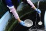 Vacina contra a dengue do Butantan alcança 79,6% de eficácia em testes