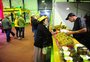 Com sete toneladas da fruta para degustação, Fenakiwi abre os portões para os visitantes em Farroupilha 

