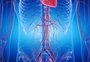 Conheça as doenças da aorta, a maior artéria do corpo humano
