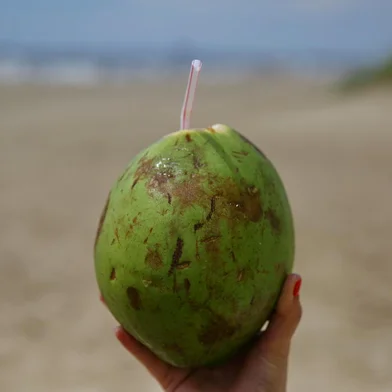 XANGRILÁ, RS, BRASIL, 09-01-2015: Matéria especial do caderno Gastrô por Destemperados sobre comidas e pratos típicos da praia. Na foto, comidas de quiosques da beira da praia. Água de côco e milho verde (FOTO FÉLIX ZUCCO/AGÊNCIA RBS, Editoria Destemperados).<!-- NICAID(11111431) -->