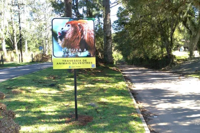Placas que sinalizam a passagem de animais silvestres pela pista começam a ser instaladas em Gramado<!-- NICAID(15158473) -->