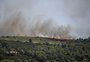 Novo incêndio na França destrói 500 hectares de floresta e vinhedos